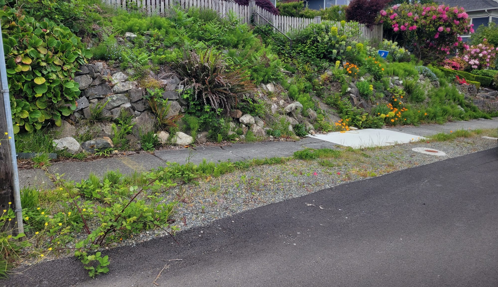 The old stacked rock wall along the sidewalk, with the slope above it overgrown, weeds spilling onto the sidewalk and street edge, and a weathered picket fence at the top