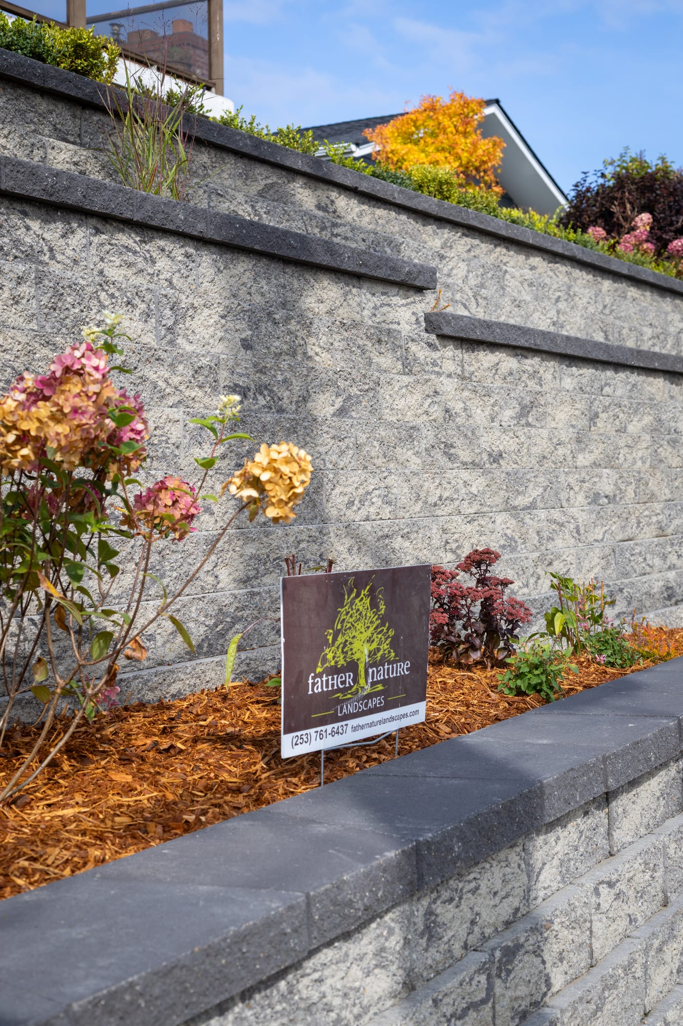 Stepped retaining wall tiers with a hydrangea and the Father Nature Landscapes yard sign in a planting terrace